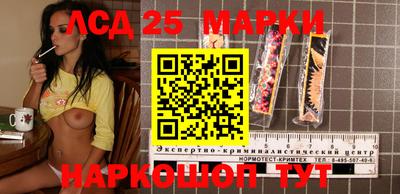 шишки Кимры