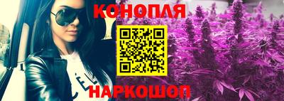 шишки Кимры