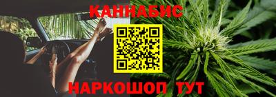 шишки Кимры