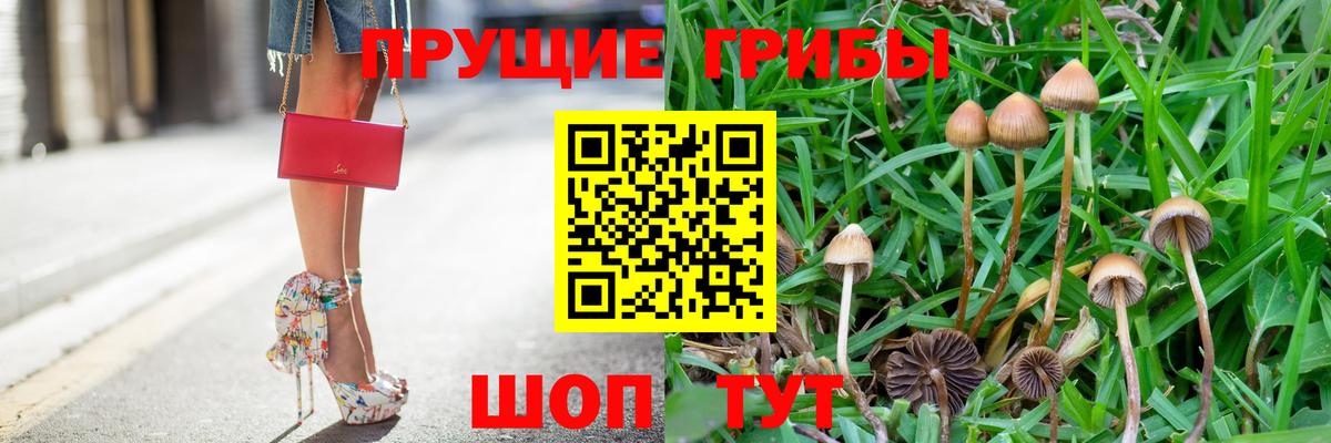 Псилоцибиновые грибы Psilocybe  Псилоцибиновые грибы ЛСД  Вход с VPN  Усть-Кут 